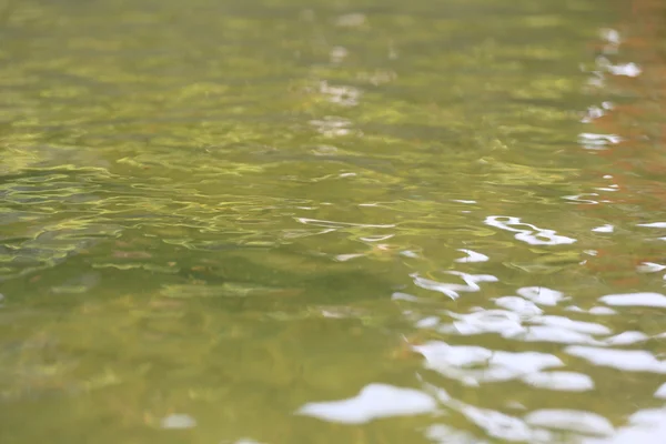 池塘中抽象的黄色水. — 图库照片
