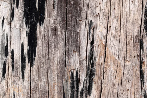 Old wood texture. — Stock Photo, Image