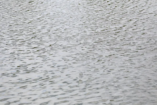 Oberfläche des Wassers in einem Teich plätschert klein. — Stockfoto