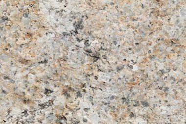 Doku içinde yıpranmış ve doğal yüzeylere sahip eski taş.