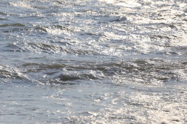 dalgalar deniz akşam üzerinde.