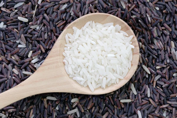 Organic jasmine rice in wooden spoon on pile grain riceberry. — Stock Photo, Image