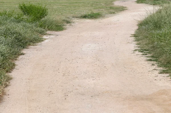 Kırsal alanlarda toprak yol. — Stok fotoğraf