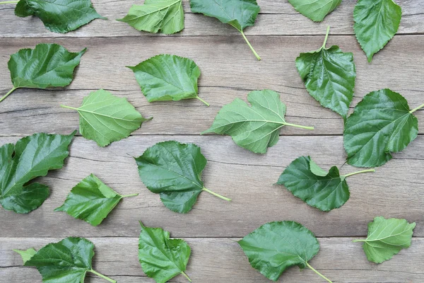 Green Leaves of Mulberry disrupted on brown wooden background. — Stock Photo, Image