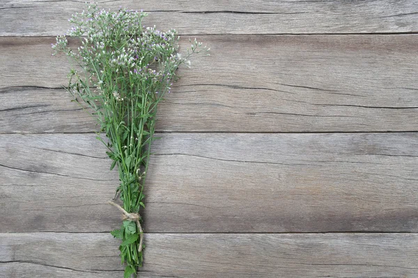 Boeket bloemen gras. — Stockfoto