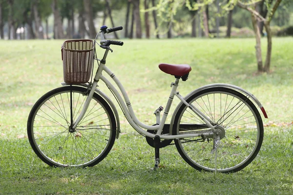 Vintage oude fietsen. — Stockfoto