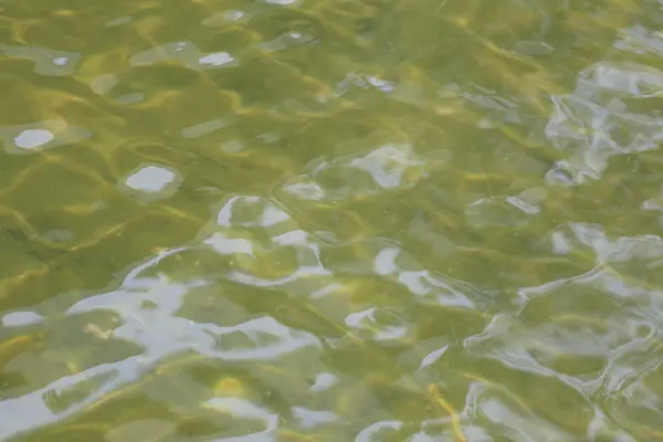 Gelbes Wasser im Teich. — Stockfoto