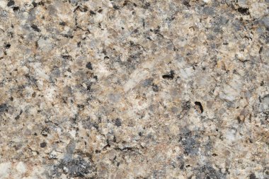 Doku içinde yıpranmış ve doğal yüzeylere sahip eski taş.