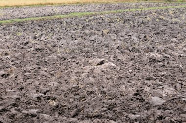 Tarım kırsal alanlarda ve çiftçilik sonra.