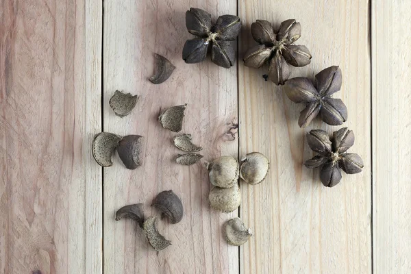 Baljväxter Sacha inchi eller Inca peanut på trä bakgrund. — Stockfoto
