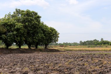 Tarım kırsal alanlarda ve çiftçilik sonra.