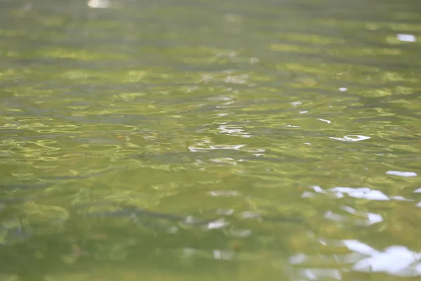 Gelbes Wasser im Teich. — Stockfoto