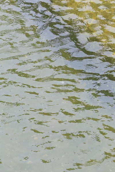 Gelbes Wasser im Teich. — Stockfoto