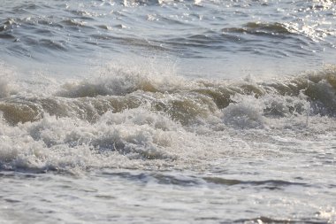 Sahilde süpürüldü dalgalar.