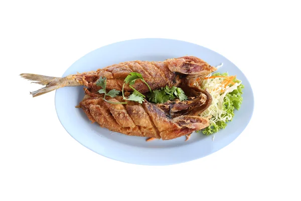 Fried Seriola fish in blue dish. — Stock Photo, Image