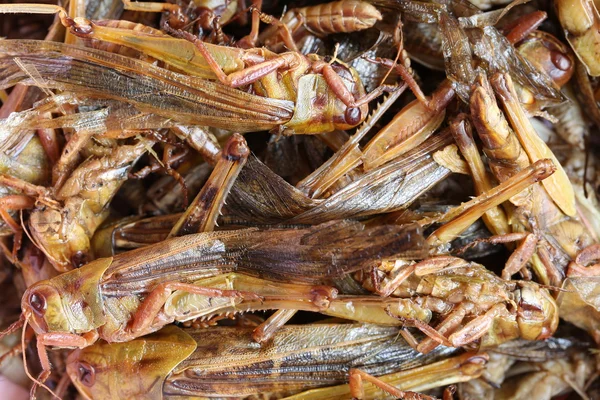 Smažené kobylky, tato místní oblíbené thajské jídlo severovýchodní peop — Stock fotografie