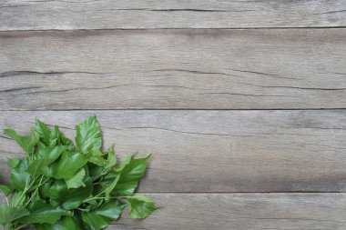 Ahşap arka plan üzerine yerleştirilen dut yaprak yeşil.