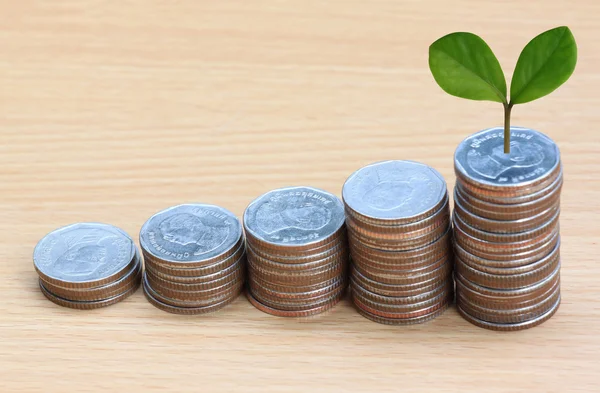 Młodych roślin uprawianych na stosie srebrne monety w business wzrostu praktyczno — Zdjęcie stockowe
