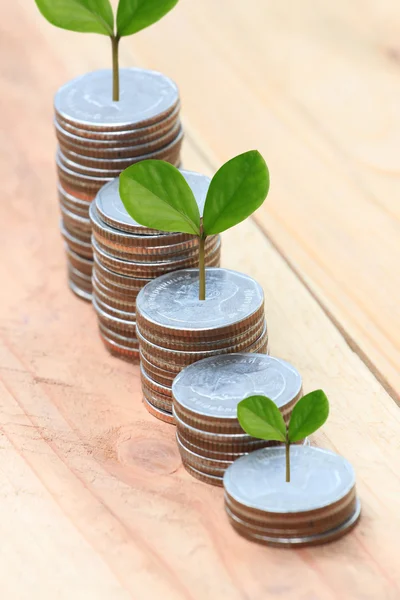 Jonge plant geteeld op stapel zilveren muntstuk in zakelijke groei concep — Stockfoto