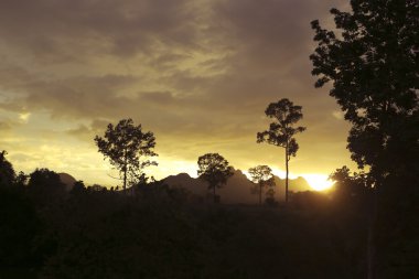 doğal ve günbatımı güneş ışığı akşam görünümü.