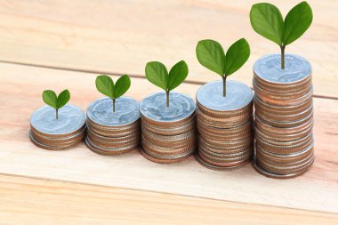 taze iş büyüme concep içinde yığın gümüş sikke için yetiştirilen bitki