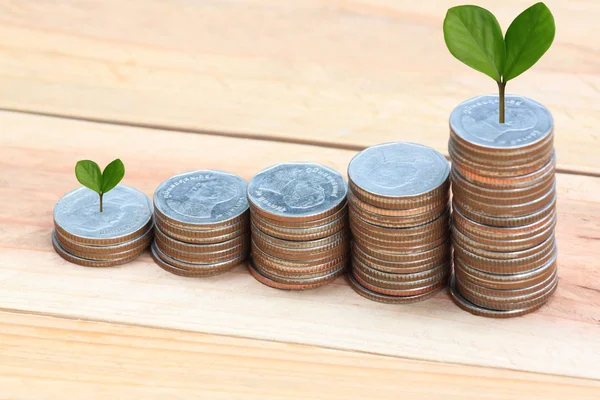 Planta joven cultivada para apilar moneda de plata en el crecimiento del negocio cóncavo —  Fotos de Stock