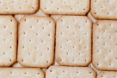 İşinizde tasarım için bisküvi arkaplanı dokusu.