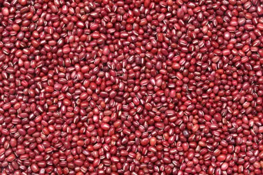 İşinizde tasarım için taze fasulye tohumu..