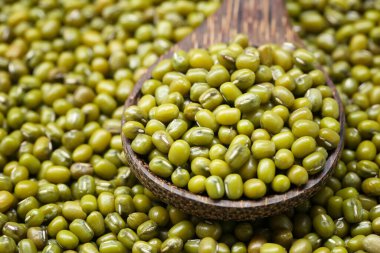 Tahta kaşıkta taze fasulye. Tasarım için..