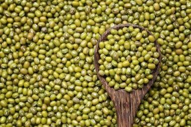 Tahta kaşıkta taze fasulye. Tasarım için..