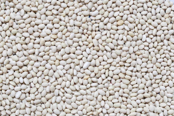 White beans background for design in your work.
