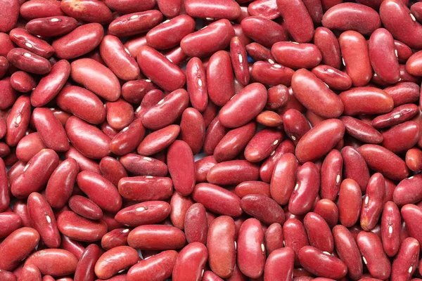 Fresh Seed Red Beans Design Background Your Work — Stock Photo, Image