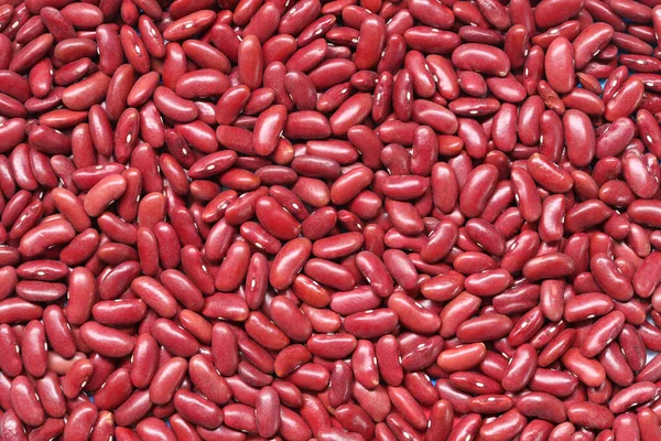 Semințe Proaspete Fasole Roșie Pentru Fundalul Proiectare Munca — Fotografie, imagine de stoc