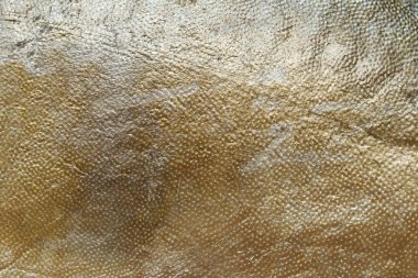 Manakatsuo balığının dokusu, çalışmanızda tasarım için balık pulu.