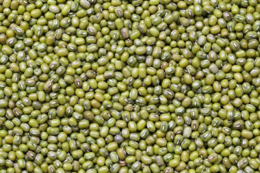 Tasarım geçmişiniz için taze fasulye..