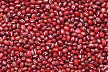 İşinizde tasarım için taze fasulye tohumu..