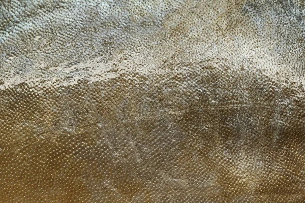 Texture Poisson Manakatsuo Échelle Poisson Pour Fond Conception Dans Votre — Photo