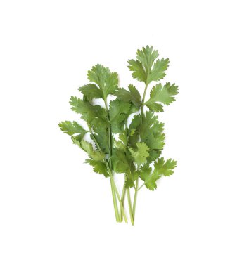 Bileşen sebzenin kişniş maddesi işinizde tasarım için beyaz arkaplanda izole edildi.