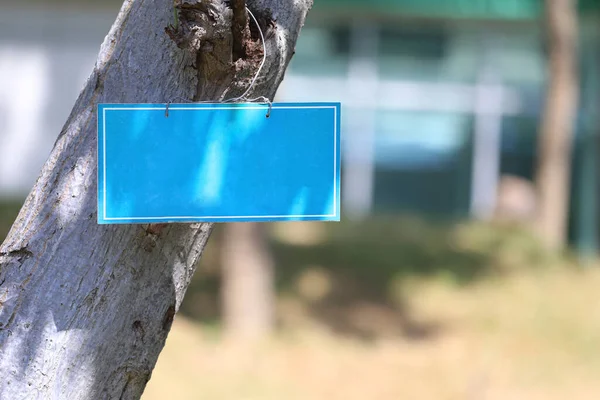 树干上的空白蓝色标签 并有复制空间用于设计您的工作 — 图库照片