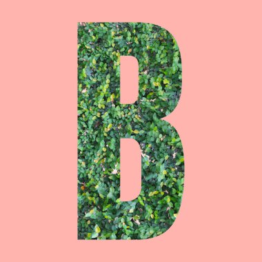 İşinizde tasarım için Pastel pembe arkaplan üzerinde yeşil yaprak tarzında B şeklindeki alfabe harfleri.