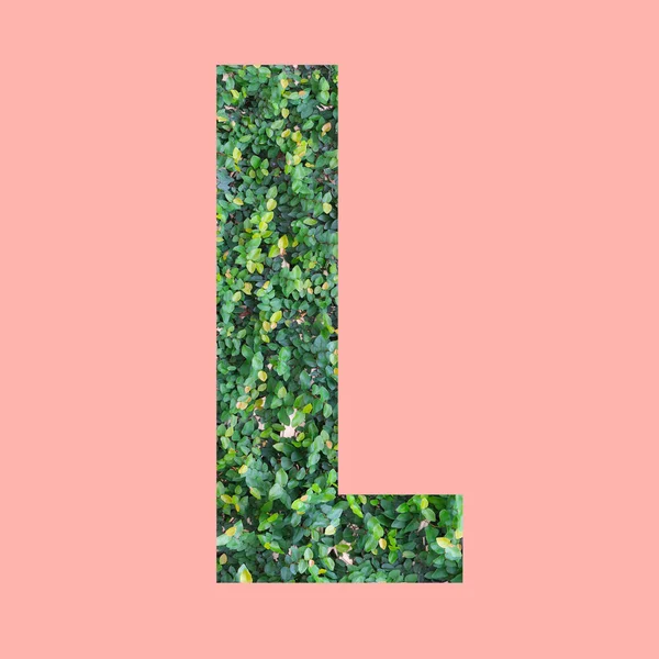 Алфавитные Буквы Формы Зеленом Листе Стиль Пастельно Розовом Фоне Дизайна — стоковое фото