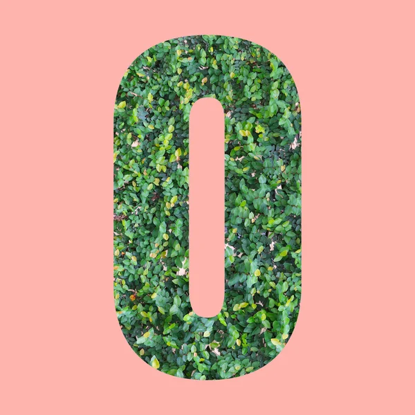 作品のデザインのためのパステルピンクの背景に緑の葉のスタイルでOの形のアルファベット文字 — ストック写真