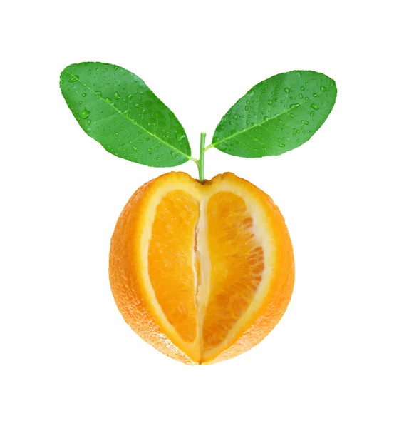 Нарезанные Свежие Мандаринские Апельсины Зелеными Листьями Имеют Росу Воды Изолированы — стоковое фото