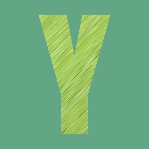 あなたの作品のデザインのためのパステルグリーンの色の背景に緑のパターンスタイルで形状Yのアルファベット文字 — ストック写真