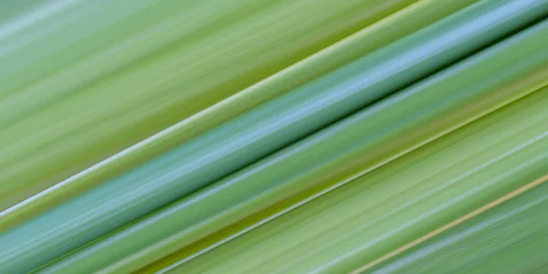 Fundo Padrão Verde Linhas Gráficas Abstratas Para Design Seu Cenário — Fotografia de Stock