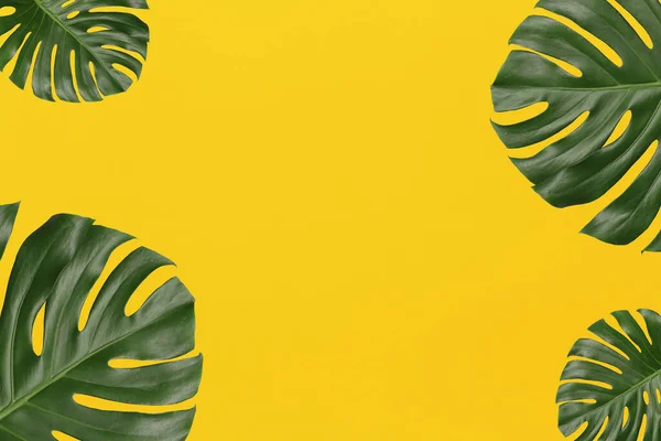 Hojas Monstera Verde Sobre Fondo Papel Arte Amarillo Tienen Espacio — Foto de Stock