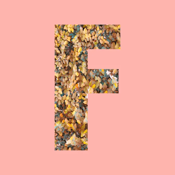Abeceda Písmena Tvaru Podzimním Stylu Pastelově Růžovém Pozadí Pro Design — Stock fotografie