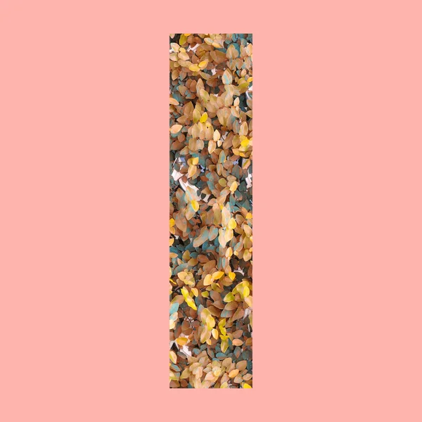 Abeceda Písmena Tvaru Podzimním Stylu Pastelové Růžové Pozadí Pro Design — Stock fotografie