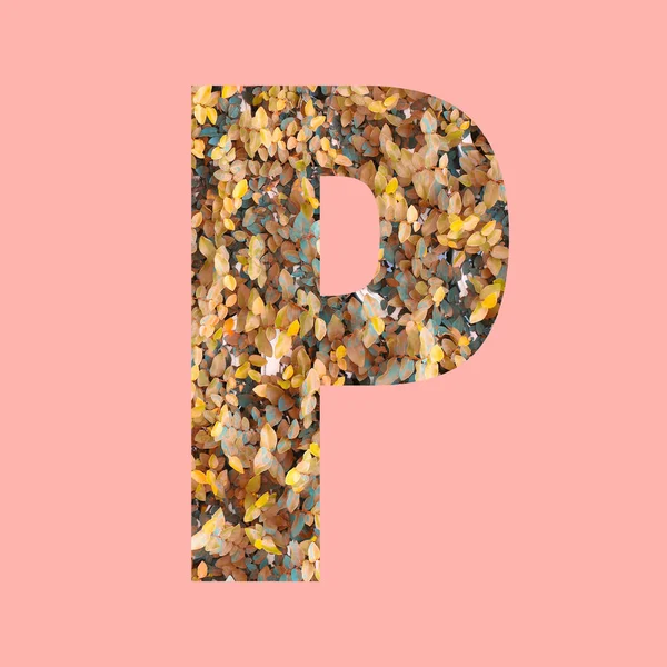 Alfabet Letters Van Vorm Herfst Stijl Pastel Roze Achtergrond Voor — Stockfoto