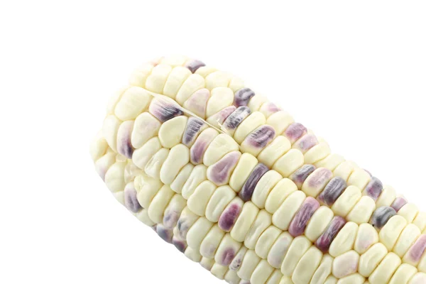 Fresh corn on white. — Stock Photo, Image